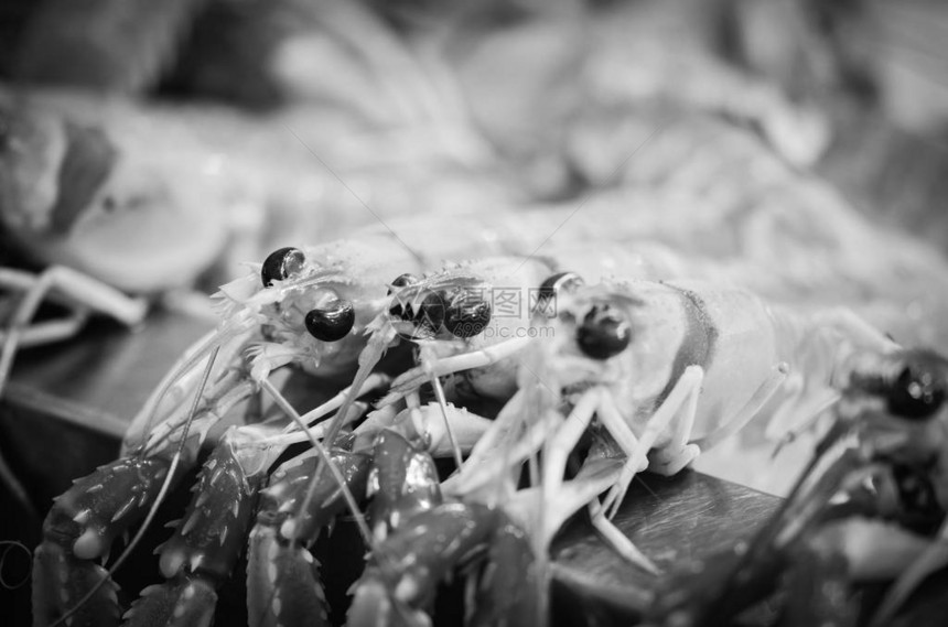 鱼市内的新鲜混合海鲜章鱼贝壳牡蛎图片