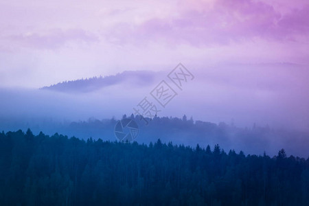 木山丘的一幅蓝景照片上面有雾色的清晨蓝图片