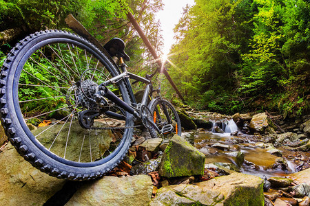 一辆山地自行车站在森林河流的风景上图片