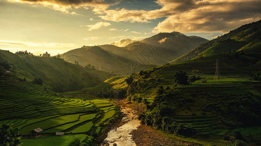 越南Muchangchai地区梯田上的水稻田准备西北越南的收成图片