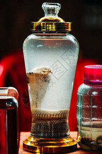 蛇在高度装饰的罐子里用作越南周边省份的药剂图片