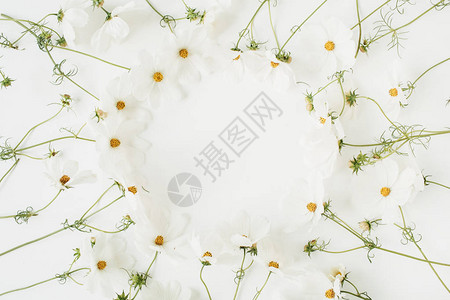 最小风格的概念花圈由白色背景上的白色雏菊洋甘菊花制成创意生活方式图片