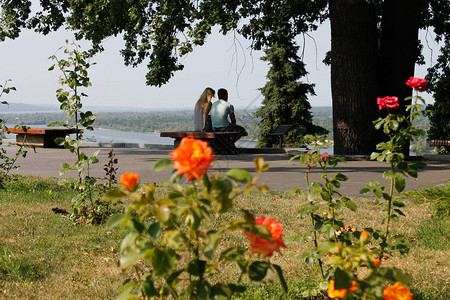 夏季Dnieper河景象图片