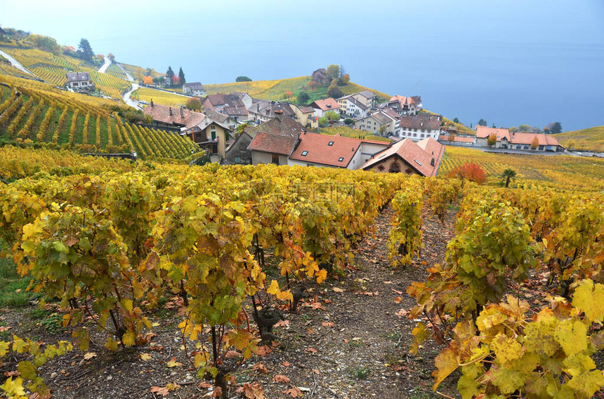 瑞士Lavau图片