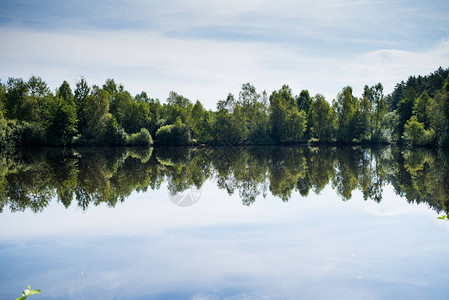 夏季森林中的寂静池塘图片