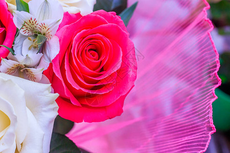 鲜花盛开的花束花玫瑰的背景美丽的花朵节日图片