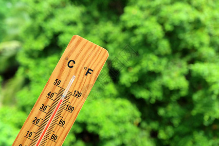 木质温度计对太阳绿色叶子的温度计显示图片