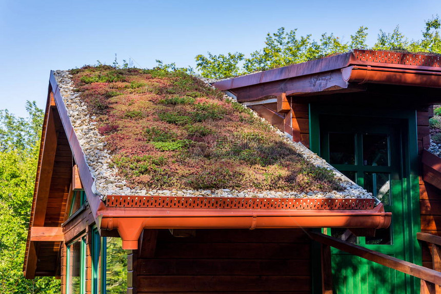 覆盖植被的广阔绿化生态活草地屋顶图片