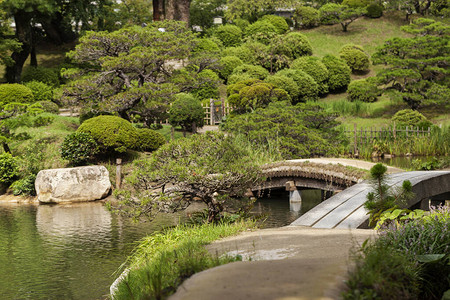 夏季美丽的绿色日本传统公园日高清图片