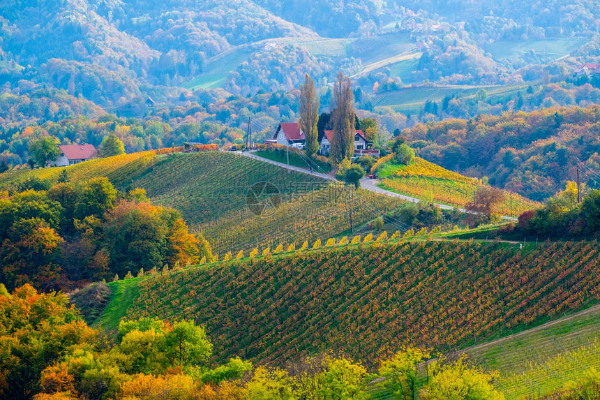 斯洛文尼亚秋天在靠近与奥地利边界的南施蒂图片