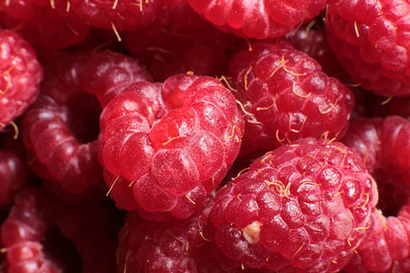 成熟的多汁果莓图片