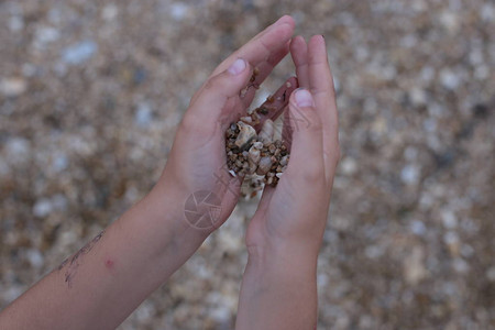 手握着沙滩上的鹅卵石玩耍图片