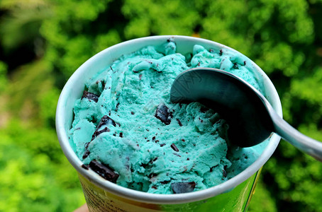 在薄巧克力芯片冰淇淋中与布蓝绿色图片