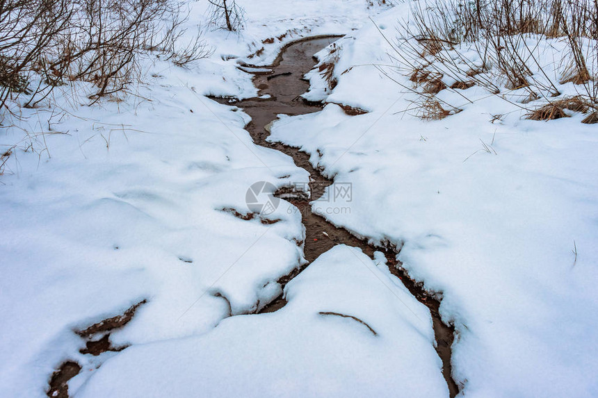 冬季森林中小溪的小溪图片