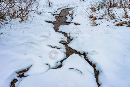 冬季森林中小溪的小溪图片