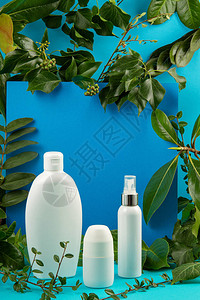绿色叶子植物和化妆品瓶的背景图片