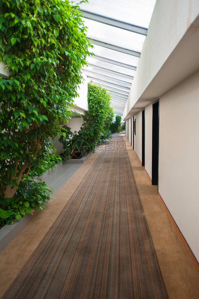 建筑走廊和树叶内图片