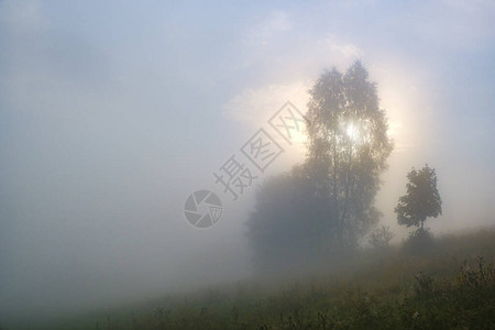 朦胧的风景喀尔巴阡山脉的晨雾日出高图片