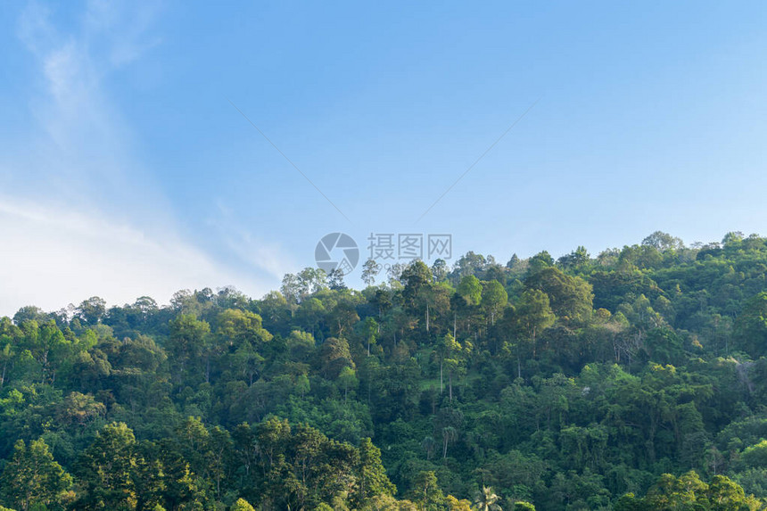 热带雨林位于月光蓝色的豪华湖兰萨卡区Kiriwong村NakhonSriThammarat图片