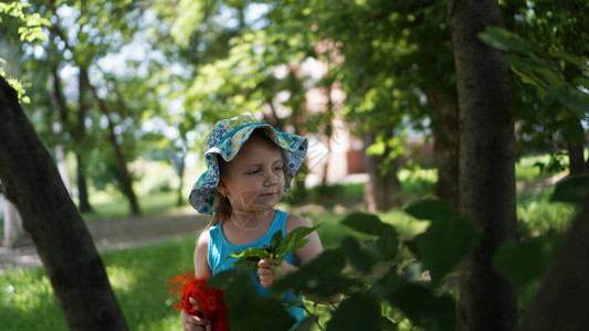 小女孩的肖像洋娃和一堆叶子在图片