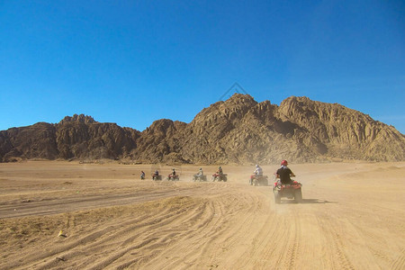 一群游客乘坐四重奏自行车穿过沙漠旅行图片