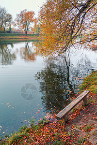 五颜六色的秋天公园秋天公园里有黄叶的秋天树别尔哥罗德俄罗斯图片