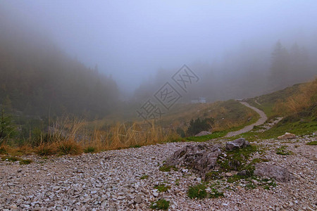 VrsicPass神秘的雾气景观浓雾掩山林密斯洛文尼亚著名的旅游胜地图片