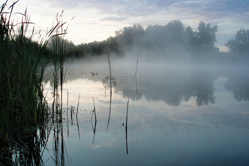日出和河与晨雾薄雾笼罩着湖水和树木森林的倒影自然和风景与太阳刚出现在蓝天的日落农村的夏图片
