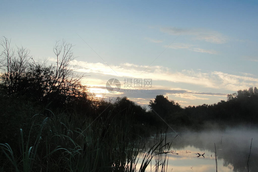 晨雾中河的日出薄雾笼罩着湖水和树木森林的倒影自然和风景与太阳刚出现在蓝天的日落农村的夏天图片