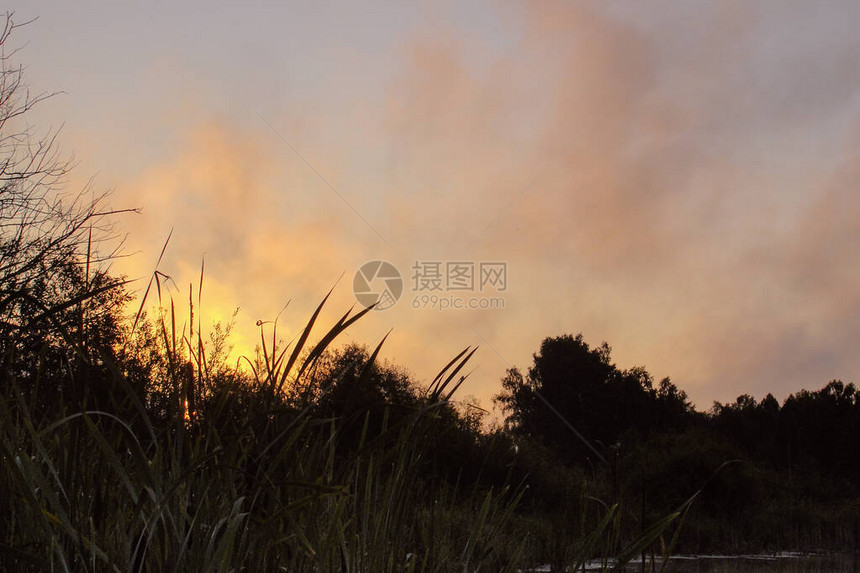 在有晨雾的河日出薄雾笼罩着湖水和树木森林的倒影自然和风景与太阳刚出现在蓝天的日落农村的夏天图片