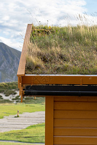 美丽的木屋的垂直照片在屋顶上覆盖着生态草皮图片