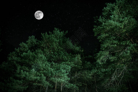 满月之夜穿过的山地路图片