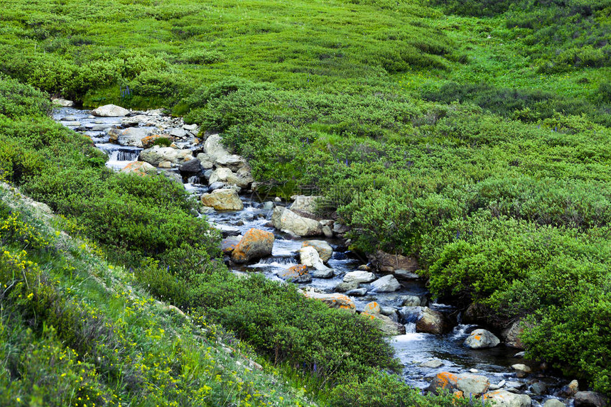 绿河谷中的山溪沿河床流落的岩石和块图片