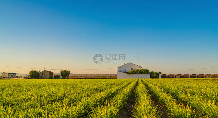 日落前巴伦西亚附近农地和建筑物的图片