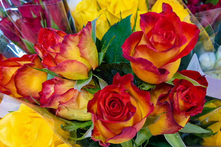 盛满美丽的鲜花玫瑰鲜花新鲜品和赠背景图片