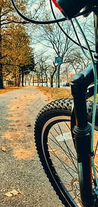 在秋天自然户外公园骑着自行车图片