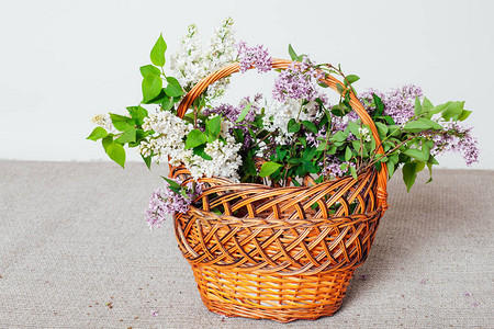 有紫丁香的紫色和白色花朵的篮子1图片