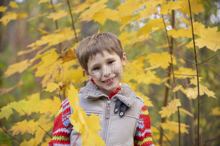 秋天森林中儿童的肖像秋图片
