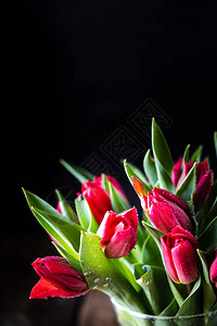 红色的郁金香紧贴花束和黑图片