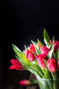 红色的郁金香紧贴花束和黑图片