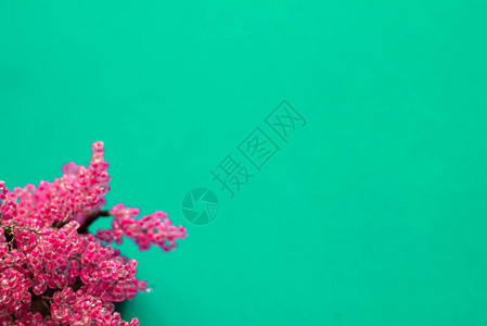 绿色背景上的珠状粉红色树创意背景图片