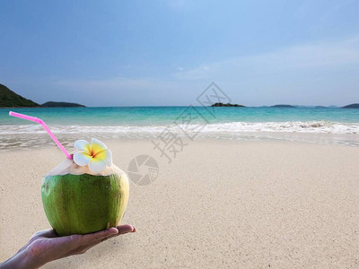 游客带着新鲜水果和海沙阳光图片