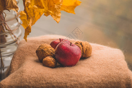 红苹果和毛衣上的胡桃图片