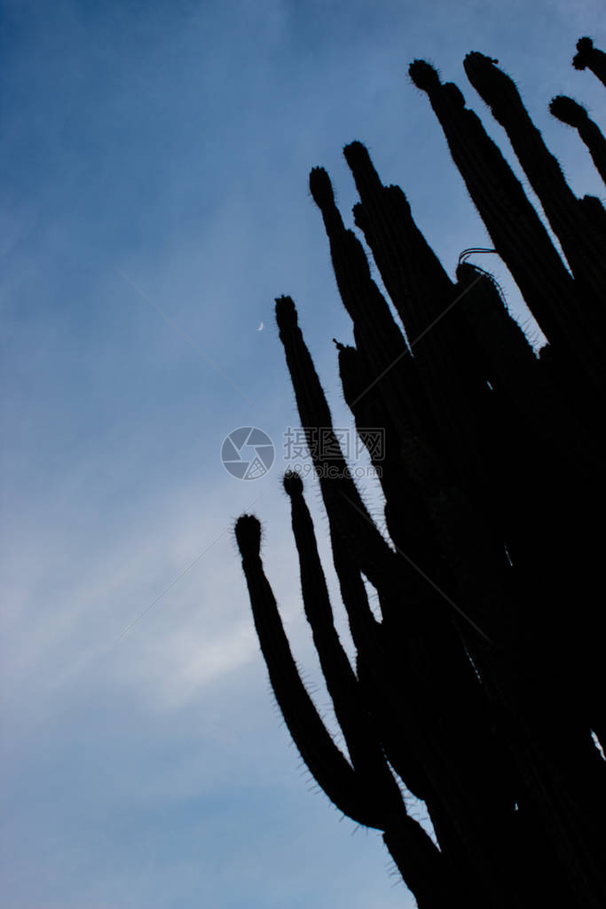 在哥伦比亚威拉的Tatacoa沙漠中图片