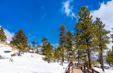 美国犹他州BryceCanyon的图片