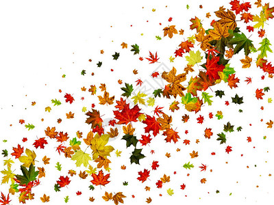 秋天风景以白色背景隔离的季节模式图片
