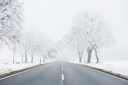 与雪的冬天警报信号图片