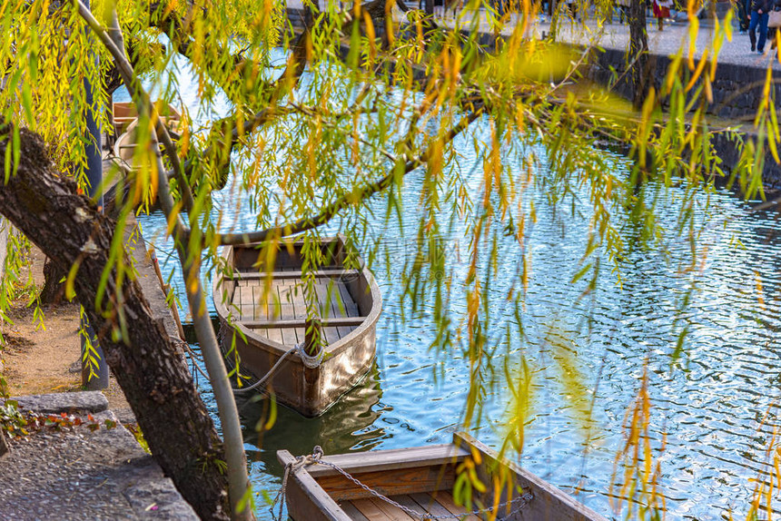 沿河岸与柳树对接的传统木图片
