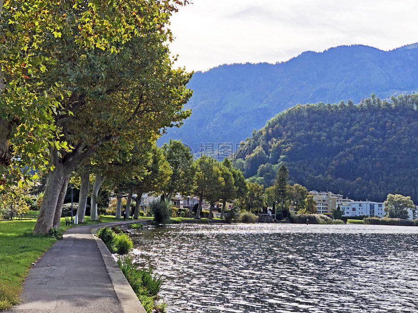 沿Alpnachersee湖的长廊图片