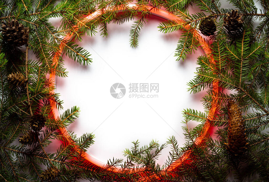 圣诞圆框由白底的日光和冬季自然事物组成平坦的躺下图片